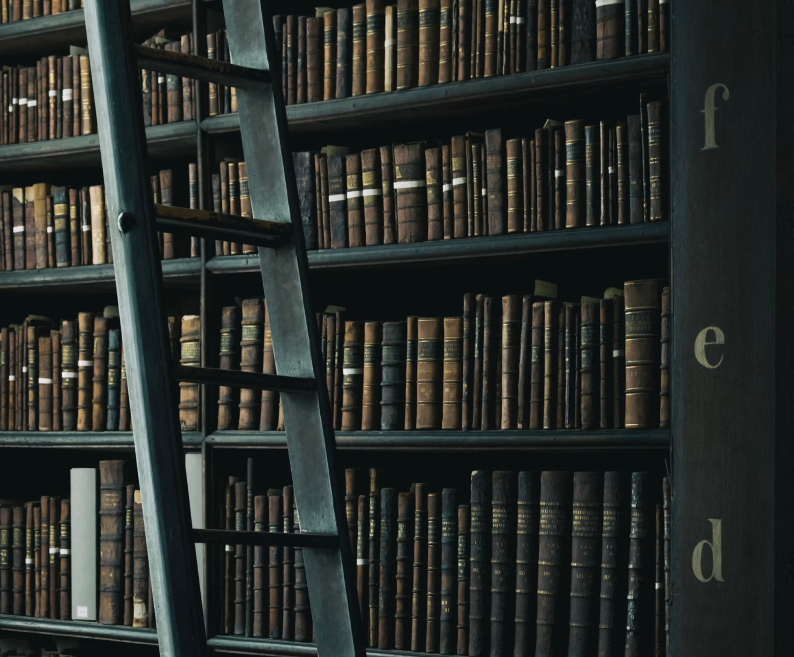 Library shelves 2