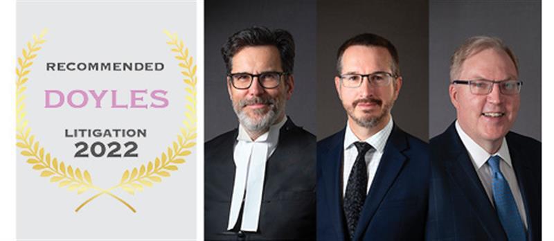 Litigation Doyles
