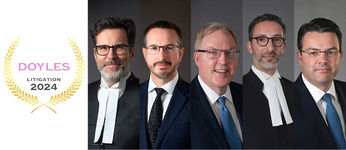 Litigatio2